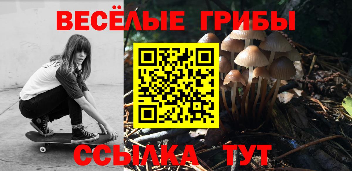 Кострома  Галлюциногенные грибы мухоморы  Вход с VPN 